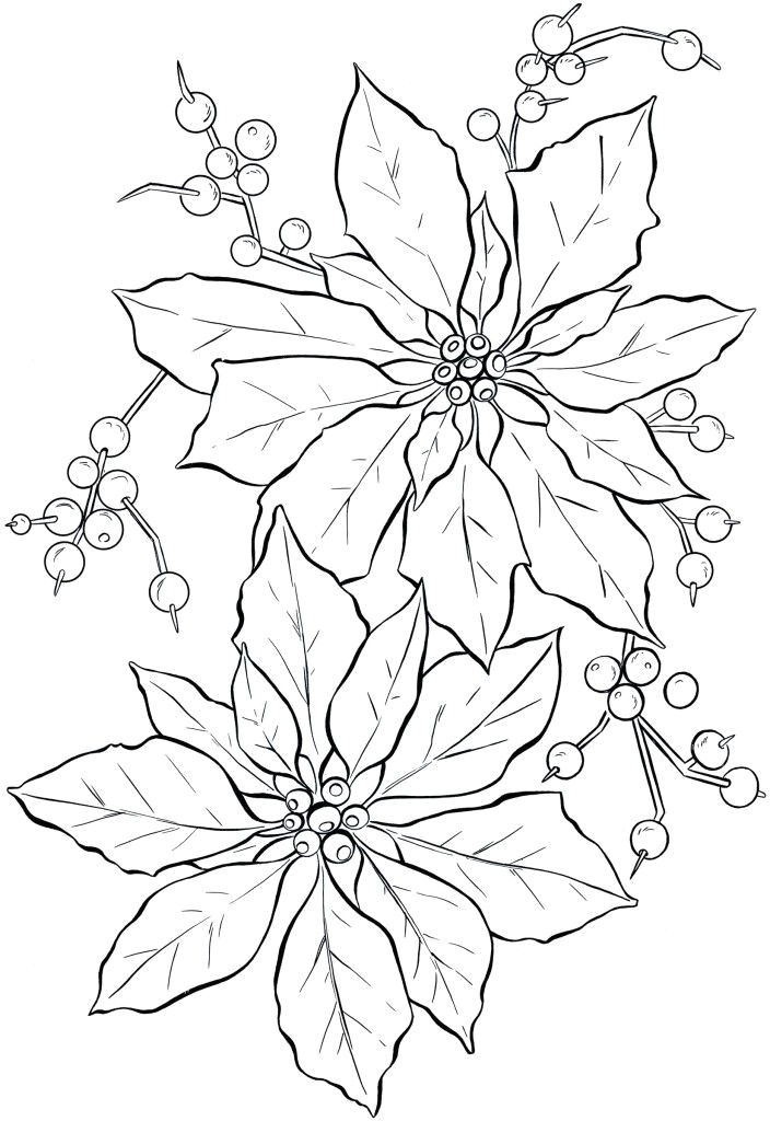 poinsettia line art christmas the graphics fairy