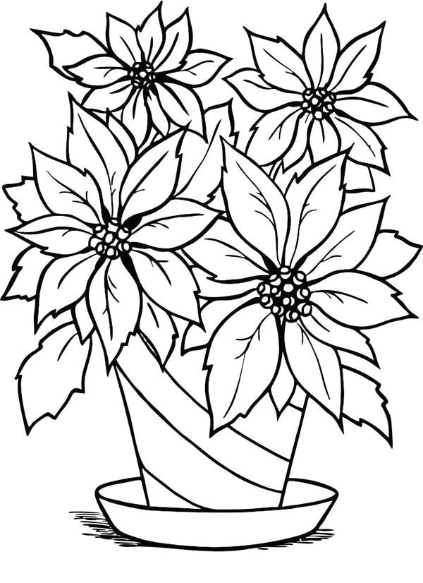 charming poinsettia flower in flowerpot coloring page christmas flowers christmas colors poinsettia flower