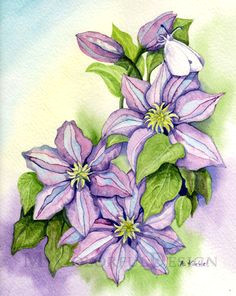 clematis original watercolor painting by mycolorfuldesign on etsy watercolor landscape watercolor paintings watercolor flowers