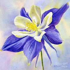 sharon freeman artwork collection misc flowers