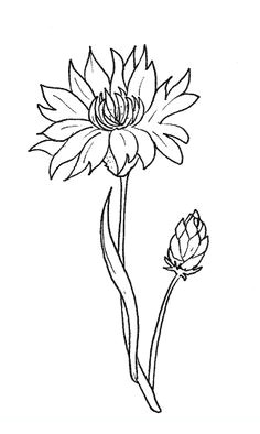 cornflower flowers coloring pages 3d pen stencils paper flower wreaths flower coloring pages