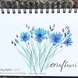 cornflower artbybianca i painted this cornflower following bianca s tutorial on instagram super easy and