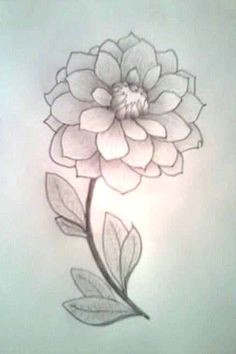 simple flower sketch google search