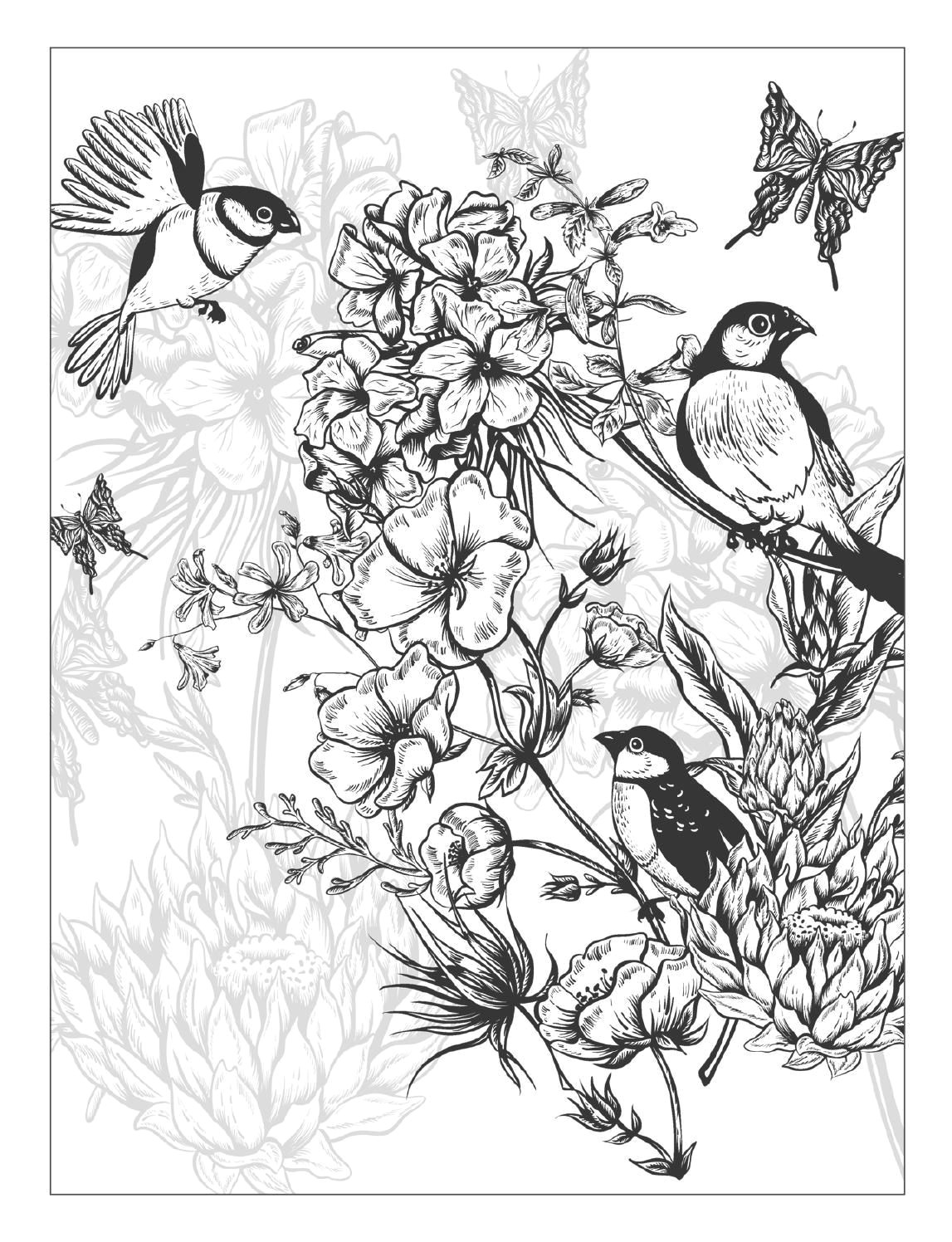 clippedonissuu from beautiful flowers detailed floral designs coloring book previewa i more pins like