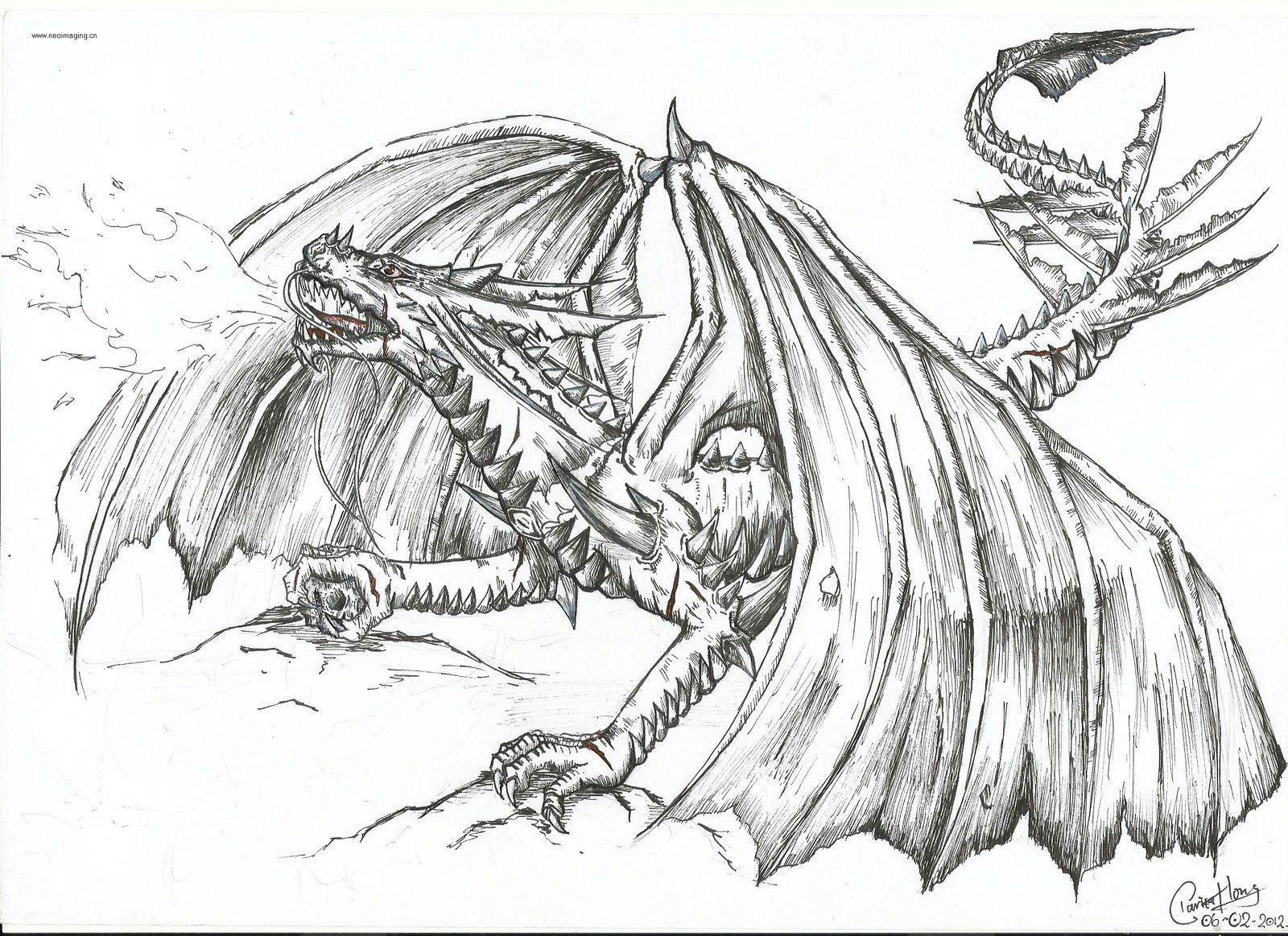 the fire breathing dragon by dino wolf on deviantart