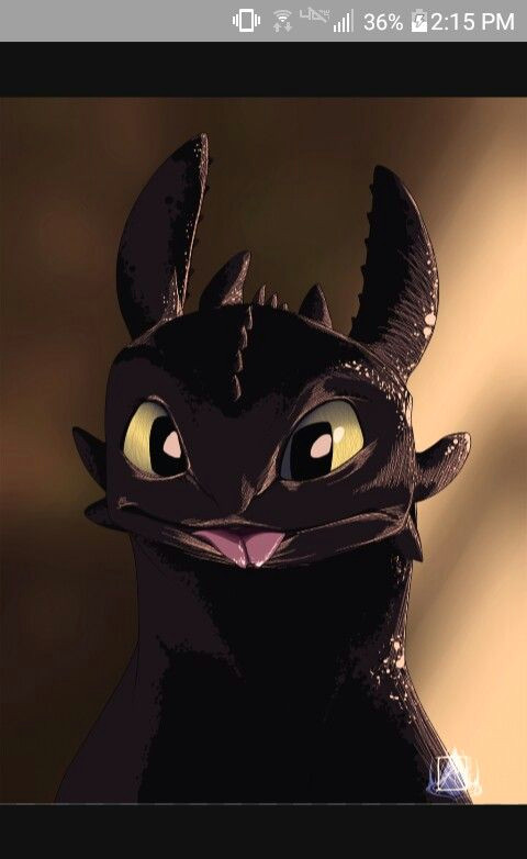 night fury toothless how to train your dragon httyd pencil drawings