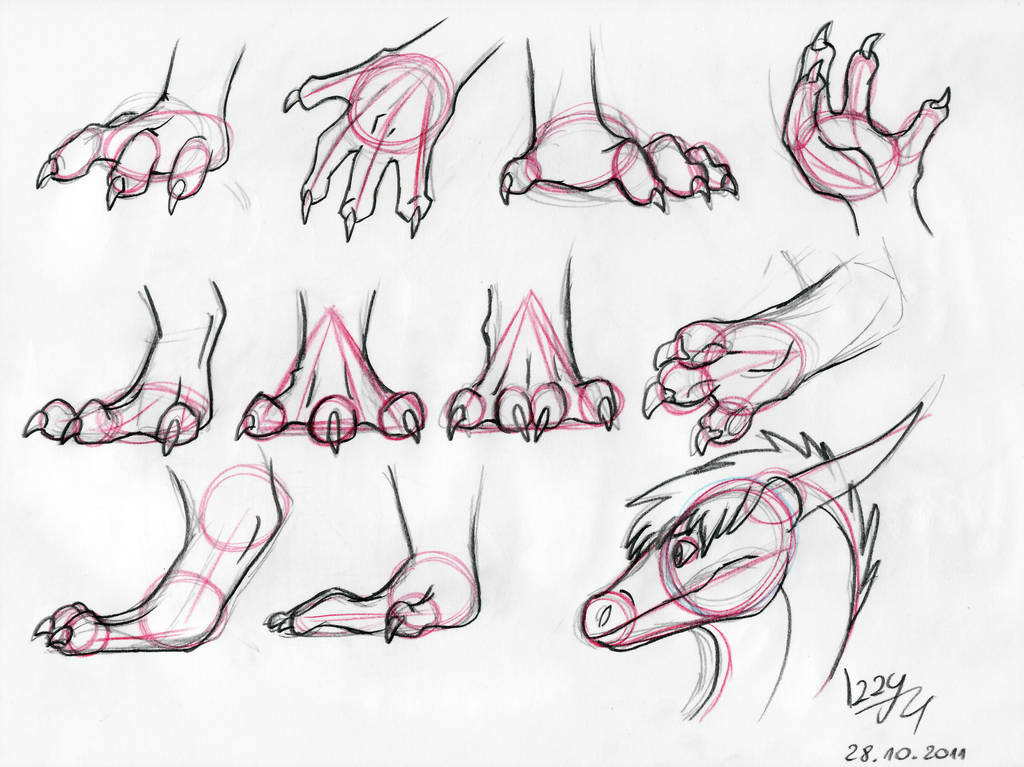 dragon hands and feet tutorial by natsuakai