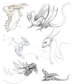 dragon sketches by abelphee