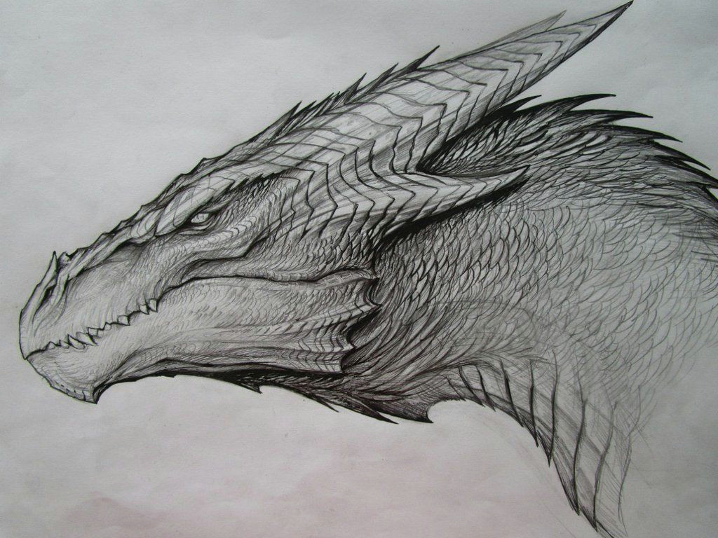 image result for dragon drawing