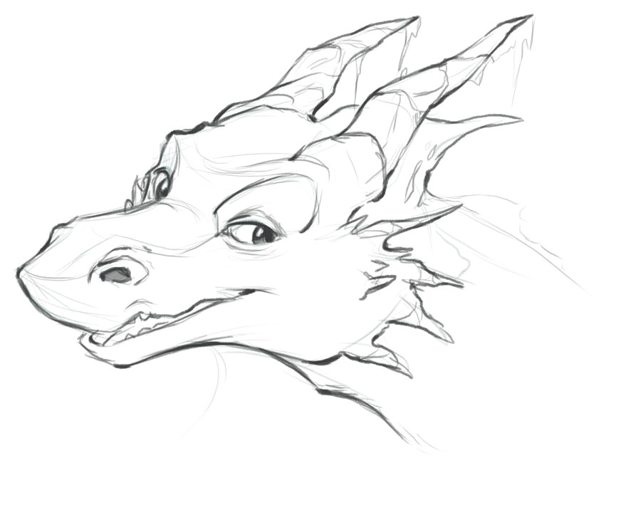 nice dragon head drawings google search