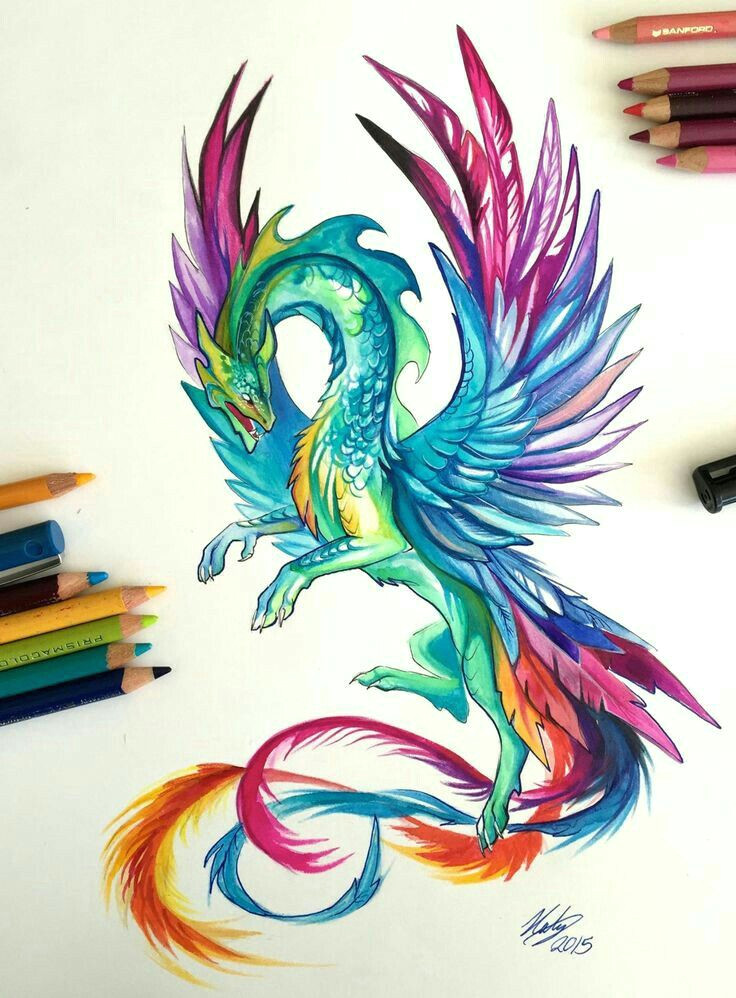 pencil drawings art drawings colorful drawings tattoo drawings animal drawings dragon