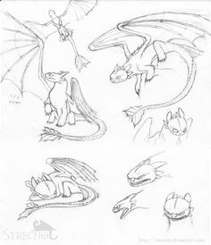 animation sketch illustration toothless pesquisa google toothless sketch toothless tattoo dragon sketch