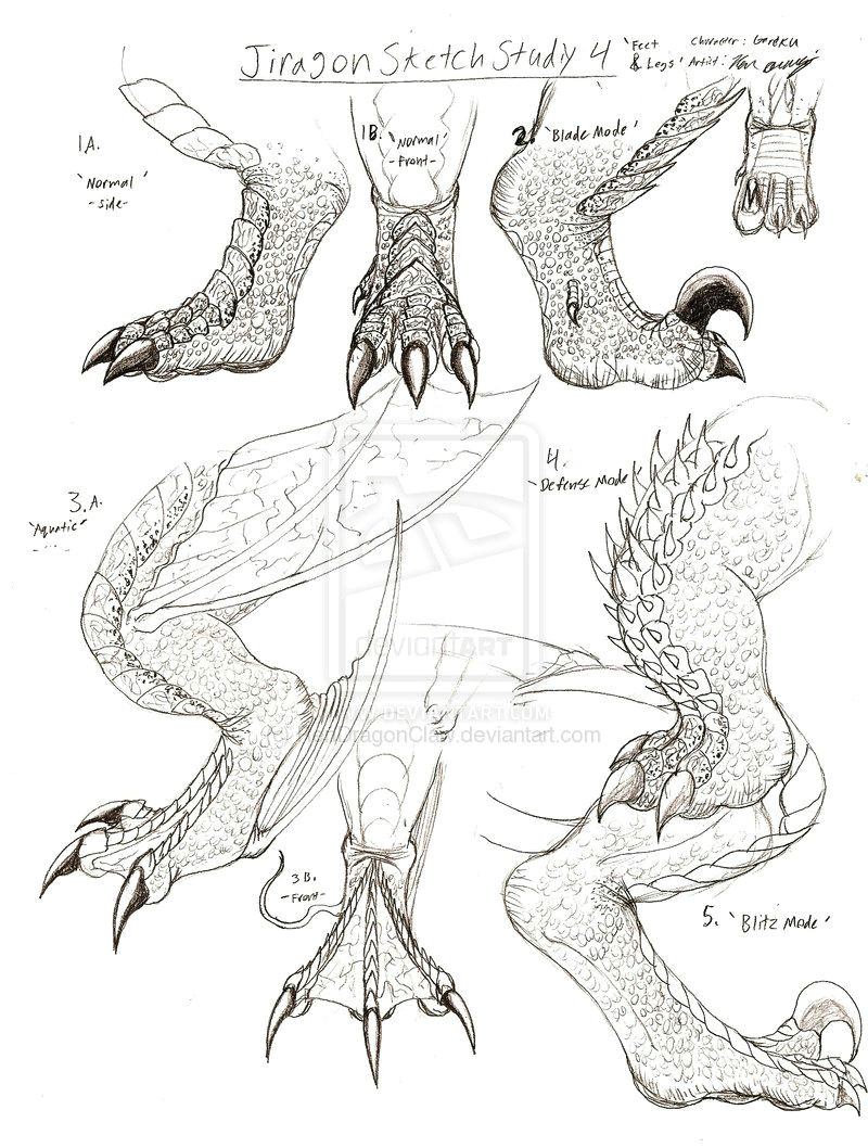 how to draw dragon claws jiragon arm and claw sketches