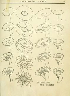 flower painting inspiration today s drawing class featuring lessons from the 1921 vintage book drawing made easy a helpful book for young artists by e