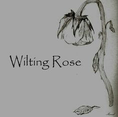 Drawings Of Dying Roses Rose Wilted Flower Tattoo Dead Roses Drawing Dead Flower Drawing