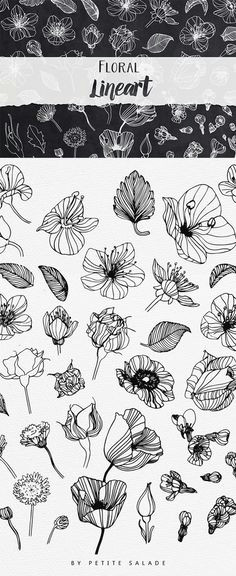 over 50 hand drawn floral elements in png eps format draw flowers drawings