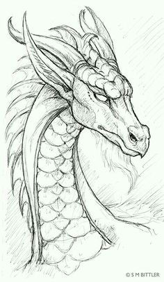 dragon pencil drawing cool drawings drawings for dad fantasy drawings detailed drawings