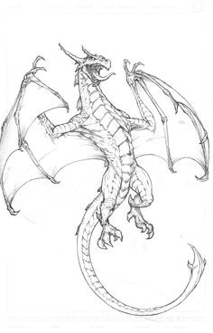 amazing drawings of dragons bing images