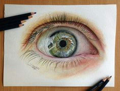 eye color pencil drawing this one was done for a competition so lets see how far i will get with it sorry about all the eye drawings i think this is