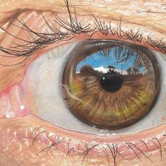 hyper realistic drawings coloured pencils redosking 5 color pencil art