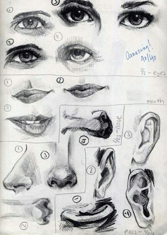 charcoal facial features by cat s art on deviantart eyes mouth nose ear face