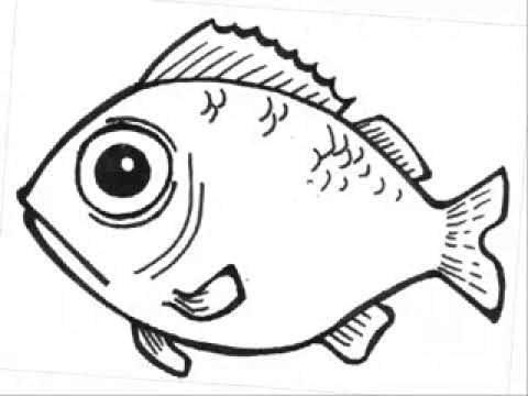 how to draw fish cartoon and fish tail