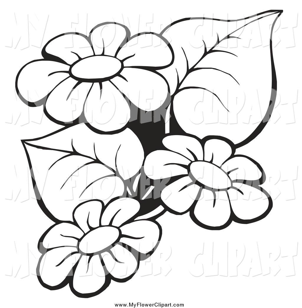 flowers clip art border black and whiteimage gallery image gallery