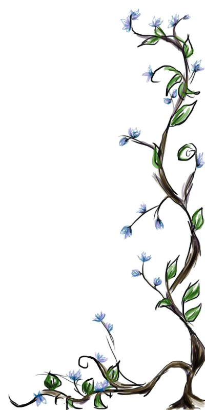 drawings of vines and flowers google search