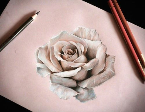 pretty 3d rose art sketch