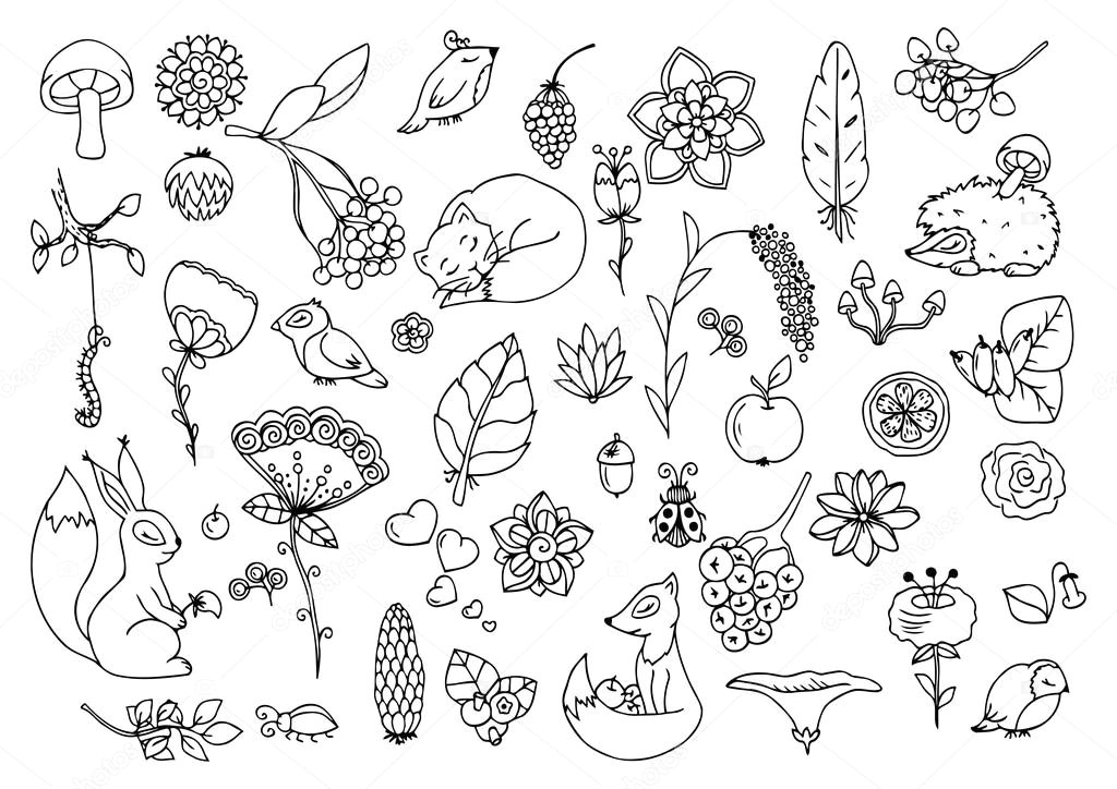 vector illustration e set the forest animals and flowers doodle drawing meditative