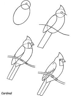how to draw birds cardinal by neefer bird art drawing birds cardinal