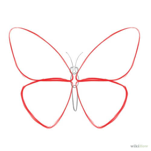 how to draw a butterfly 14 steps with pictures wikihow