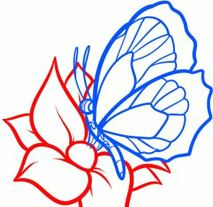 how to draw a butterfly on a flower butterfly and flower step 6 decorating drawings butterfly drawing easy drawings