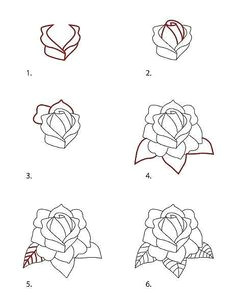 classic rose easy to draw rose how to draw roses how to draw flowers