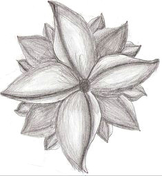 art pencil drawings of flowers creative commons attribution no derivative works 3 0 license