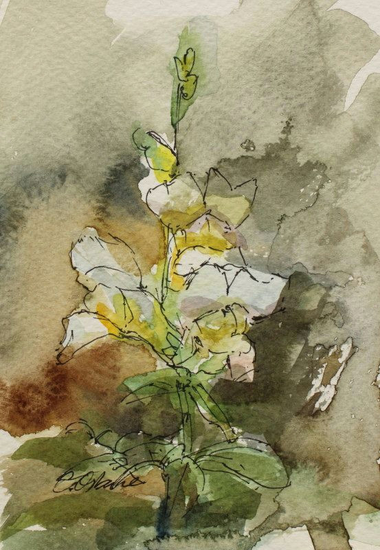 art card watercolour postcard flower painting 6x4in impression white snapdragon