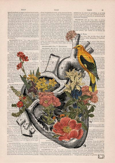 cyber monday sale flowery heart with bird anatomy print by prrint
