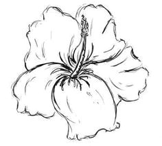 hibiscus flower drawings tattoo design page 2 hawaiian flower drawing hibiscus flower drawing hibiscus