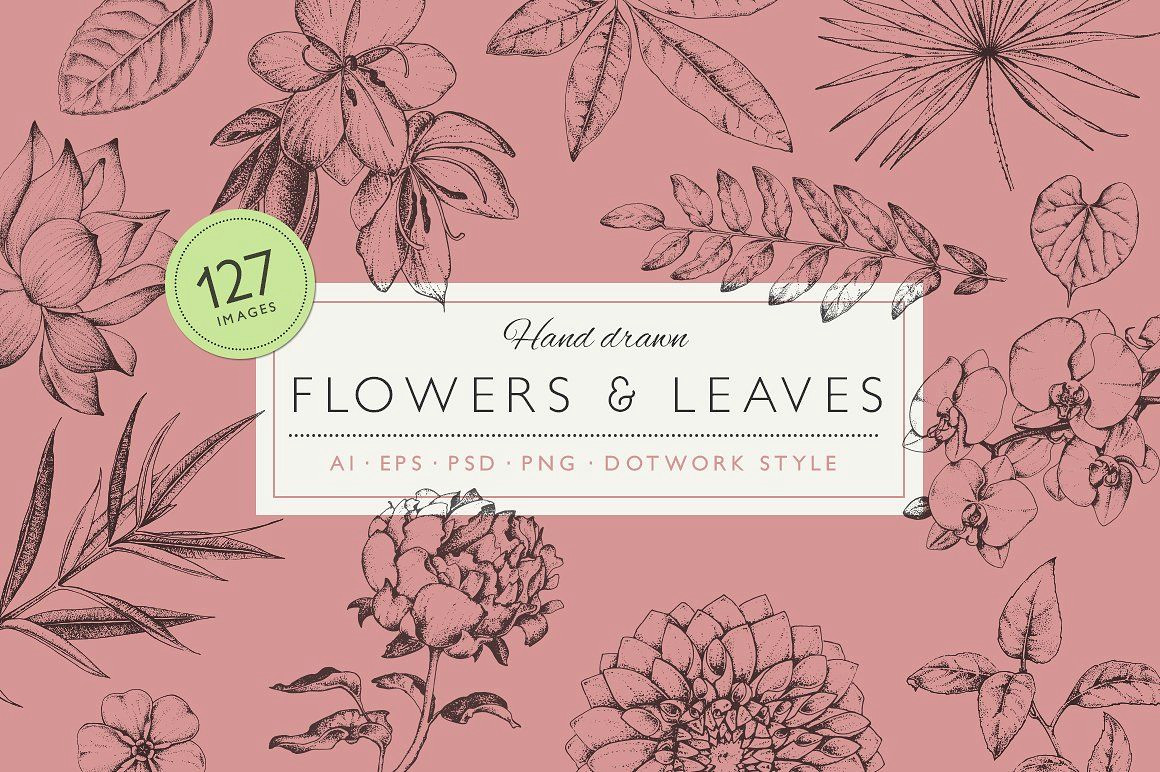 dotwork flowers leaves flower flowers plant plants leaf leaves dotwork blackwork hand drawn drawing line drawing nature decoration outline isolated