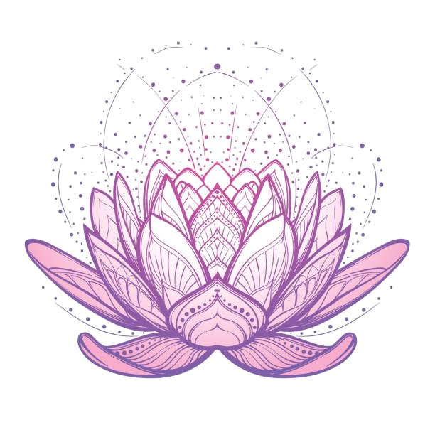 lotus flower intricate stylized linear drawing isolated on white background vector art illustration