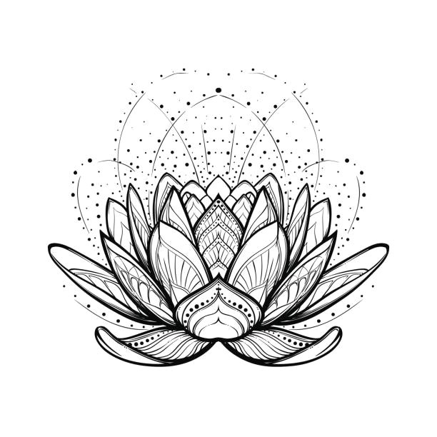 lotus flower intricate stylized linear drawing isolated on white background vector art illustration