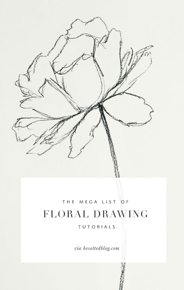 a mega list of floral drawing tutorials over 50 resources for supplies tutorials books and classes