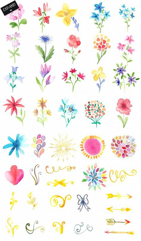 watercolor flowers and decorations by desenart on creative market