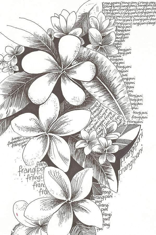 flowers drawing