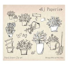 hand drawn garden plants clip art flowers clip art pot plants clip garden