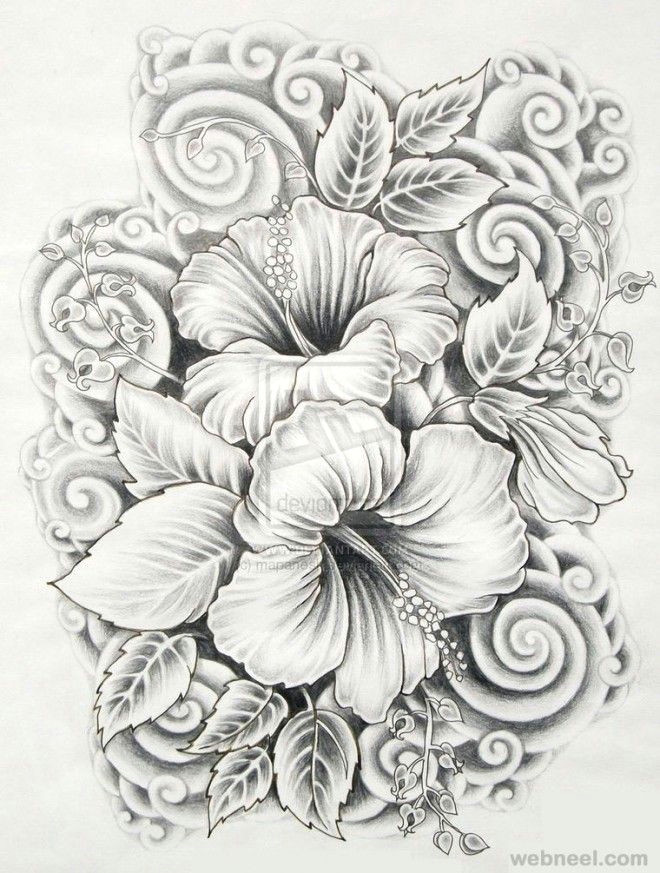 drawings of flowers hibiscus