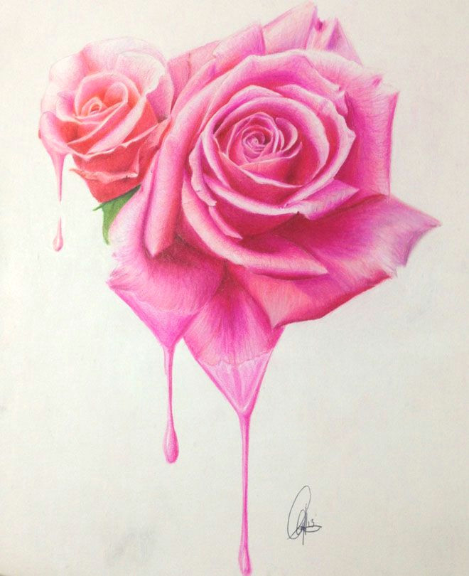 35 beautiful flower drawings and realistic color pencil drawings read full article http