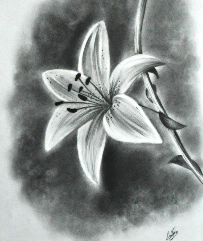 image result for realistic drawings of flowers