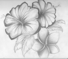 drawings of flowers shaded flowers by something easy101 on deviantart shading drawing