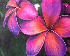 a painting of my favorite flower the frangipani aka plumeria oil pastel by my